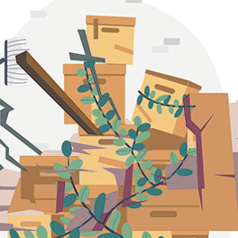 Decluttering